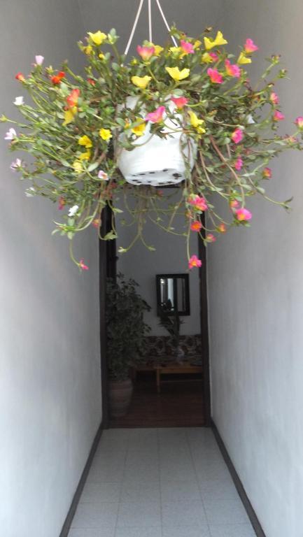 Casa Colonial Cejas Hotel Santa Cruz de Tenerife Eksteriør billede