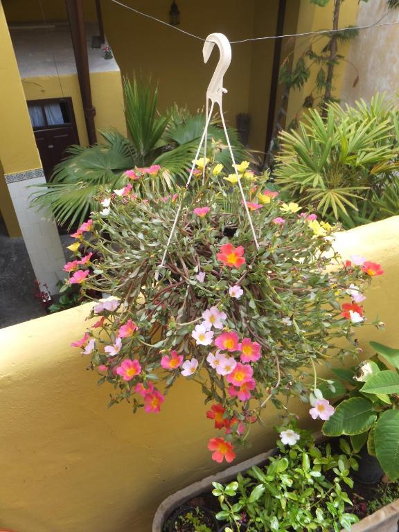 Casa Colonial Cejas Hotel Santa Cruz de Tenerife Eksteriør billede