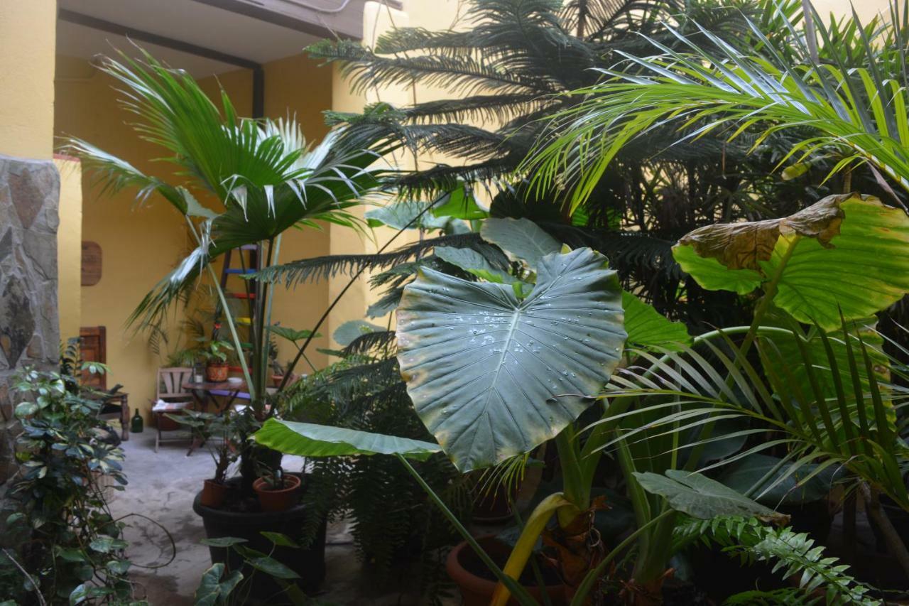 Casa Colonial Cejas Hotel Santa Cruz de Tenerife Eksteriør billede
